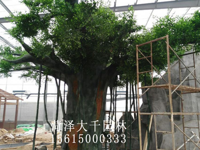 點擊查看詳細信息<br>標題：假樹 閱讀次數：1361