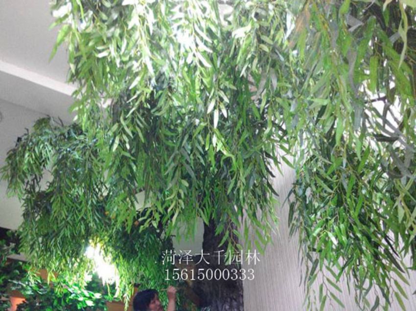 點擊查看詳細信息<br>標題：假樹 閱讀次數：1299