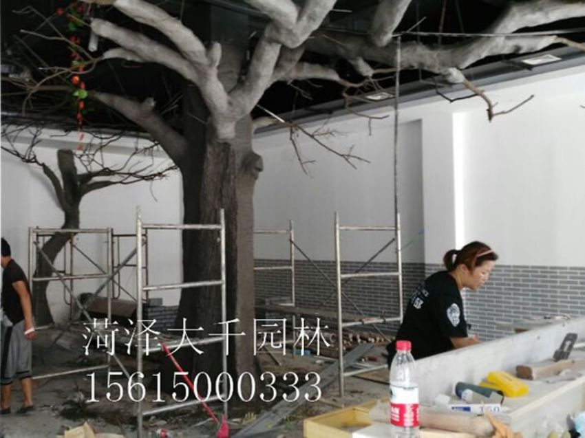 點擊查看詳細信息<br>標題：假樹 閱讀次數：1294