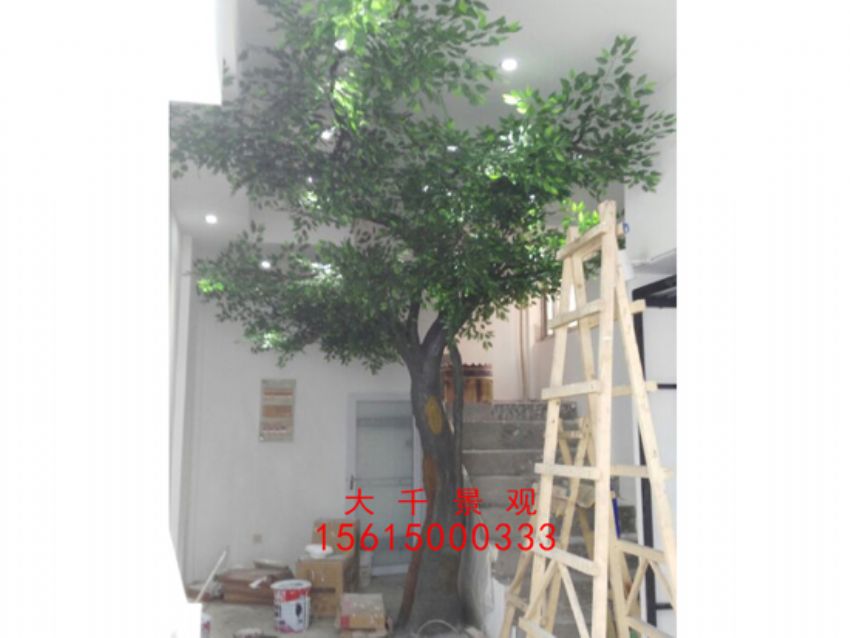 點擊查看詳細信息<br>標題：瓷磚磁瓦 閱讀次數：2266