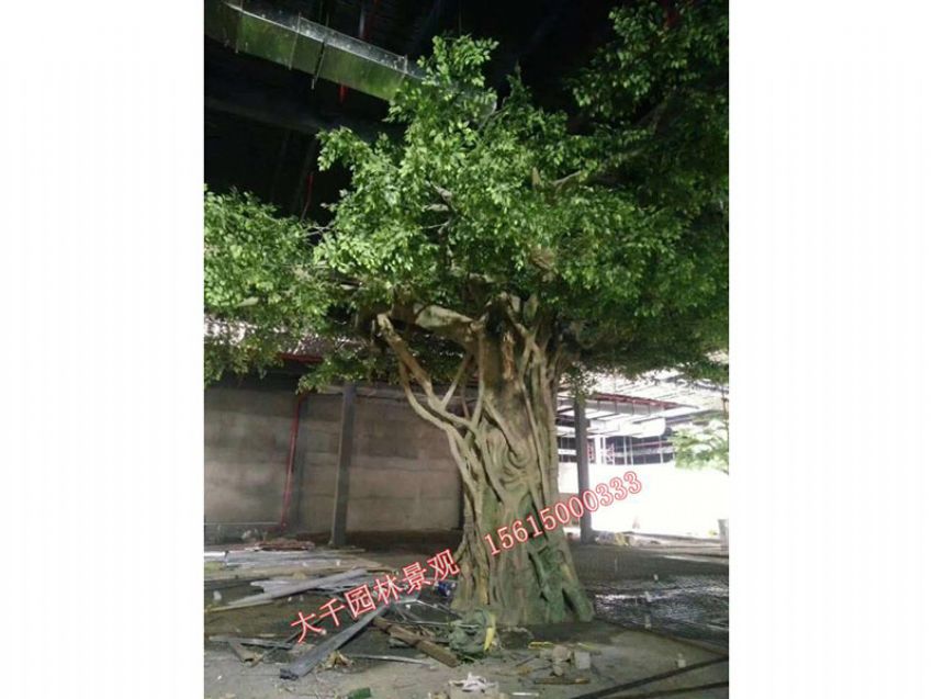 點擊查看詳細信息<br>標題：假樹 閱讀次數：2146